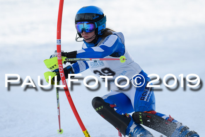 Int. FIS Rennen + NJC  AC Damen, FIS SG, Götschen, 01.02.2019