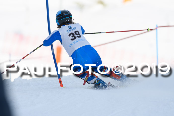 Int. FIS Rennen + NJC  AC Damen, FIS SG, Götschen, 01.02.2019
