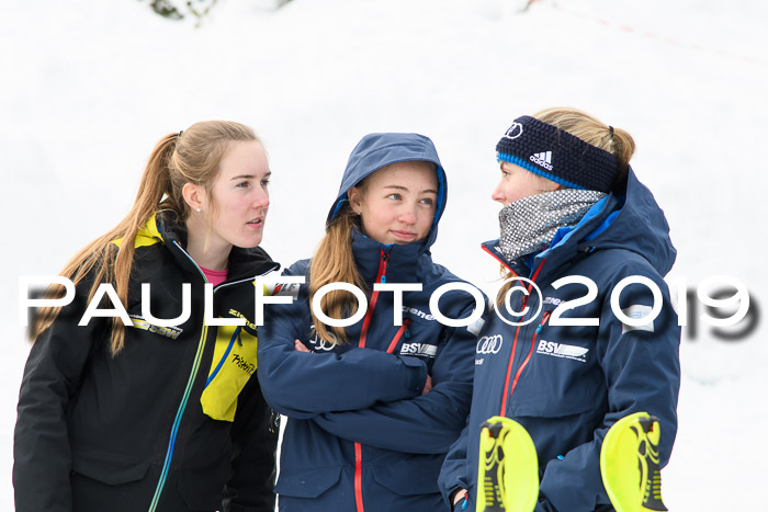 Int. FIS Rennen + NJC  AC Damen, FIS SG, Götschen, 01.02.2019