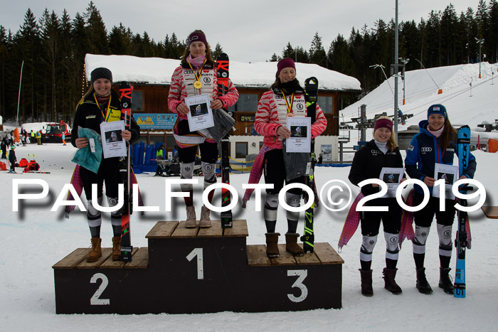 Int. FIS Rennen + NJC  AC Damen, FIS SG, Götschen, 01.02.2019
