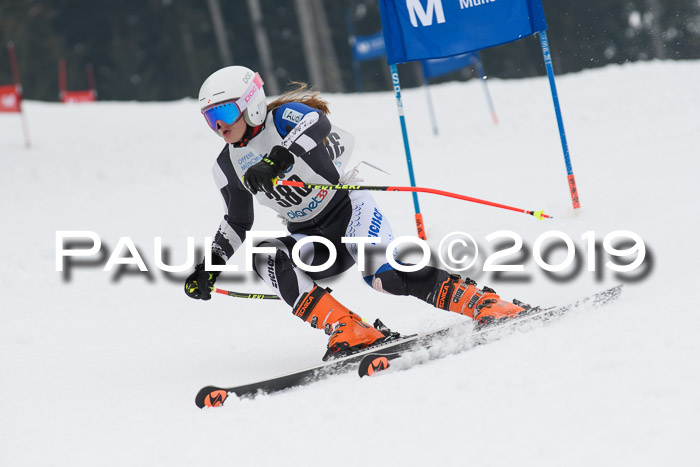 Münchner Skimeisterschaft 02.02.2019