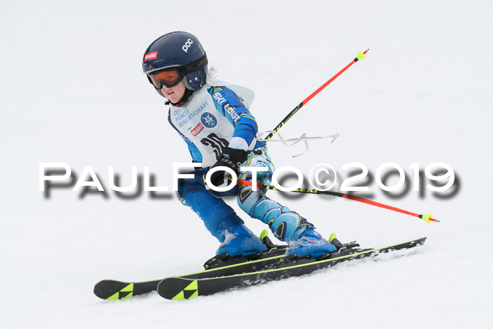 Münchner Skimeisterschaft 02.02.2019