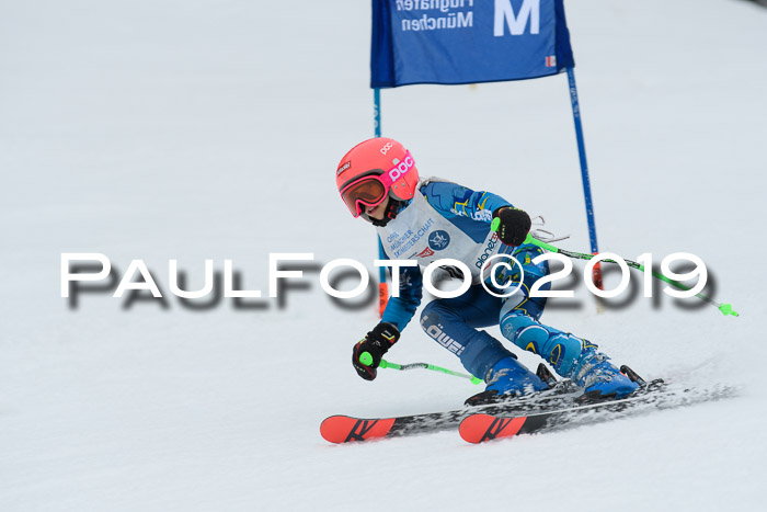 Münchner Skimeisterschaft 02.02.2019