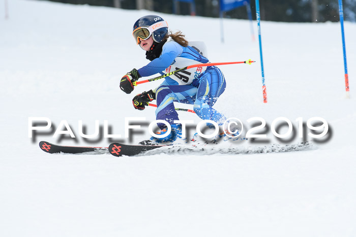 Münchner Skimeisterschaft 02.02.2019