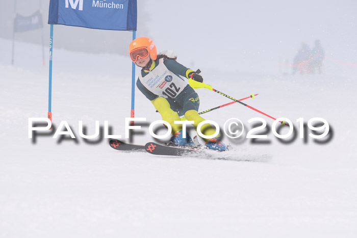 Münchner Skimeisterschaft 02.02.2019