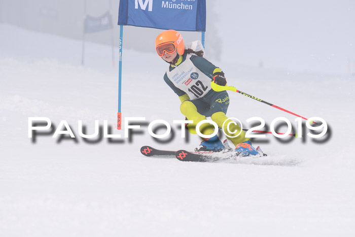 Münchner Skimeisterschaft 02.02.2019