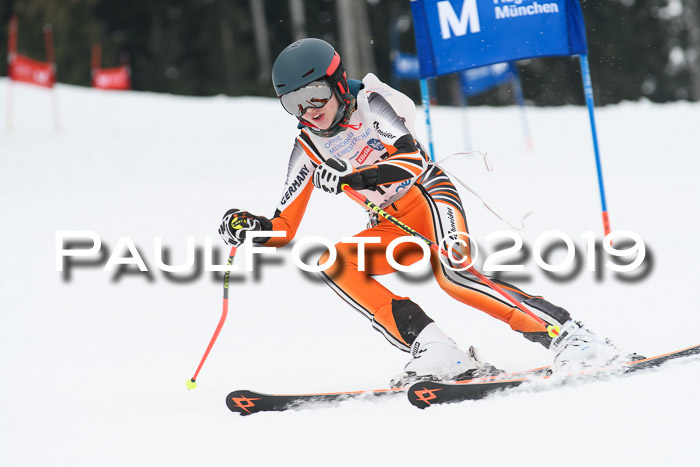 Münchner Skimeisterschaft 02.02.2019