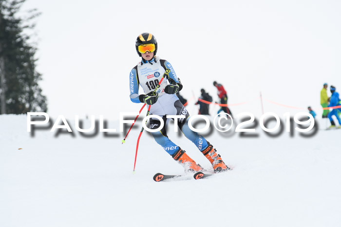 Münchner Skimeisterschaft 02.02.2019