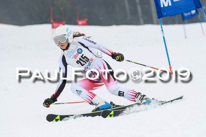 Münchner Skimeisterschaft 02.02.2019