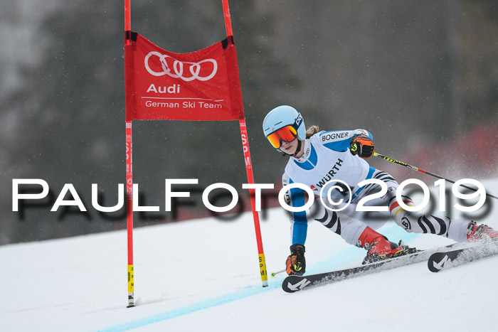 FIS + NJC Riesenslalom Damen + Herren 02.02.2019