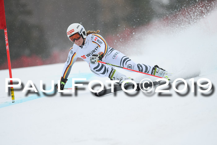 FIS + NJC Riesenslalom Damen + Herren 02.02.2019