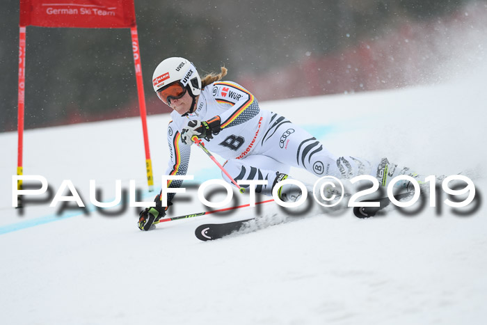 FIS + NJC Riesenslalom Damen + Herren 02.02.2019