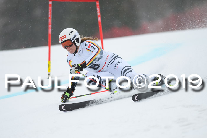 FIS + NJC Riesenslalom Damen + Herren 02.02.2019