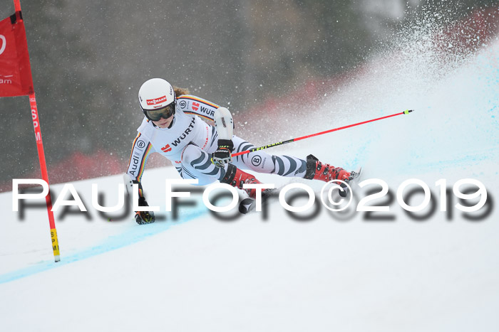 FIS + NJC Riesenslalom Damen + Herren 02.02.2019