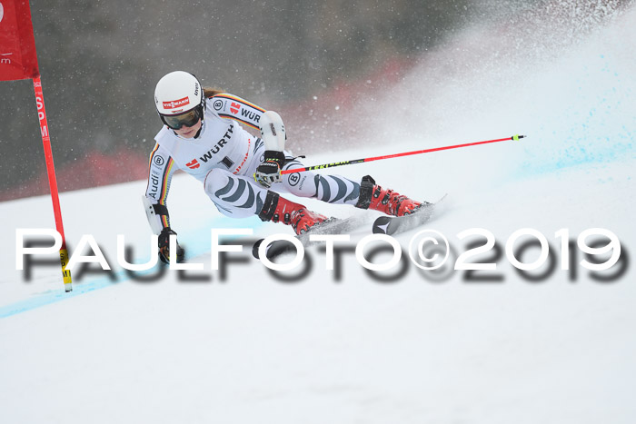 FIS + NJC Riesenslalom Damen + Herren 02.02.2019