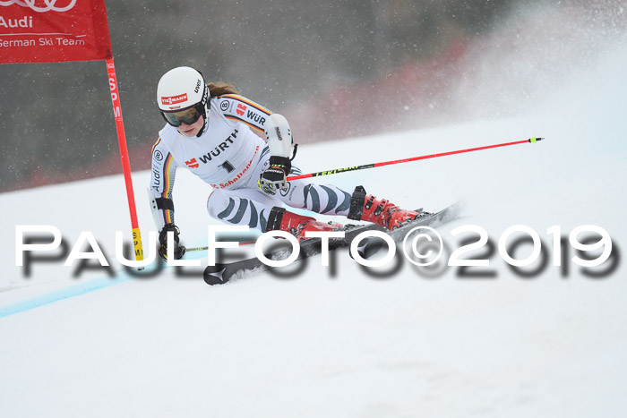 FIS + NJC Riesenslalom Damen + Herren 02.02.2019