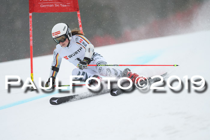 FIS + NJC Riesenslalom Damen + Herren 02.02.2019