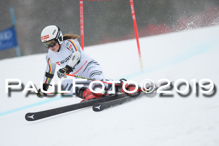 FIS + NJC Riesenslalom Damen + Herren 02.02.2019