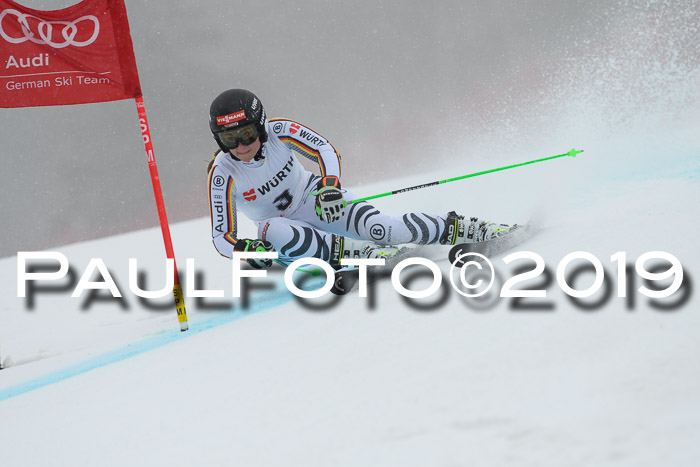 FIS + NJC Riesenslalom Damen + Herren 02.02.2019