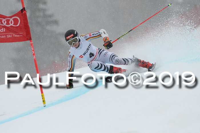 FIS + NJC Riesenslalom Damen + Herren 02.02.2019