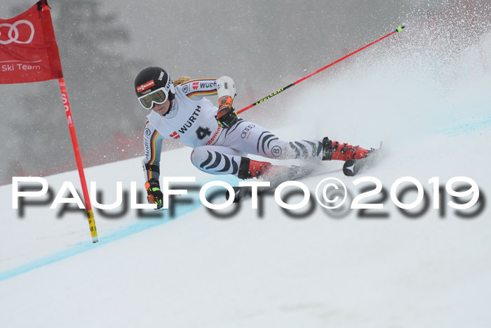 FIS + NJC Riesenslalom Damen + Herren 02.02.2019