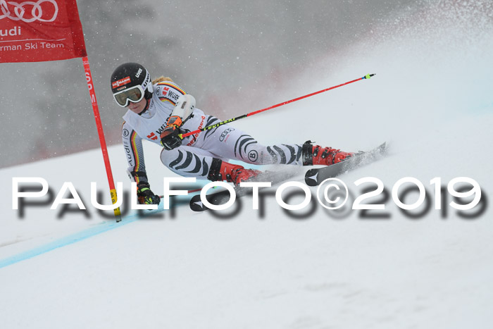 FIS + NJC Riesenslalom Damen + Herren 02.02.2019