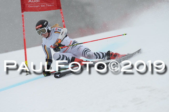 FIS + NJC Riesenslalom Damen + Herren 02.02.2019