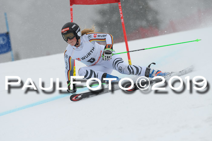 FIS + NJC Riesenslalom Damen + Herren 02.02.2019