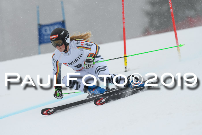 FIS + NJC Riesenslalom Damen + Herren 02.02.2019