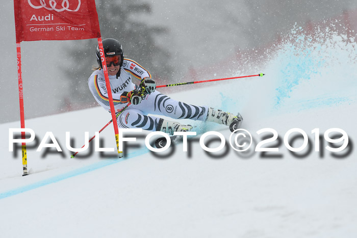 FIS + NJC Riesenslalom Damen + Herren 02.02.2019