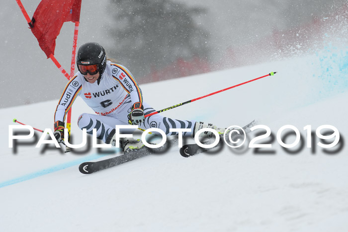 FIS + NJC Riesenslalom Damen + Herren 02.02.2019