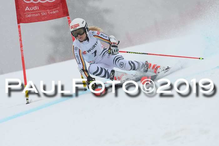 FIS + NJC Riesenslalom Damen + Herren 02.02.2019