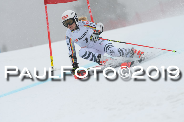 FIS + NJC Riesenslalom Damen + Herren 02.02.2019