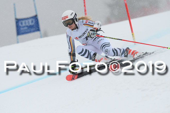 FIS + NJC Riesenslalom Damen + Herren 02.02.2019