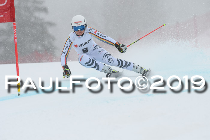 FIS + NJC Riesenslalom Damen + Herren 02.02.2019