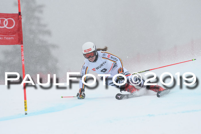 FIS + NJC Riesenslalom Damen + Herren 02.02.2019