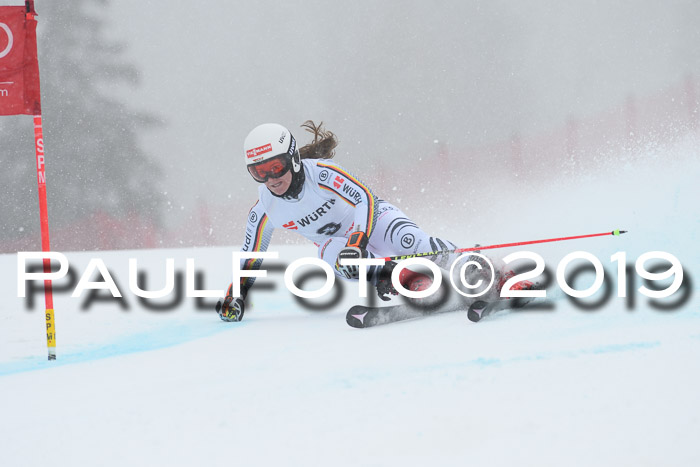 FIS + NJC Riesenslalom Damen + Herren 02.02.2019
