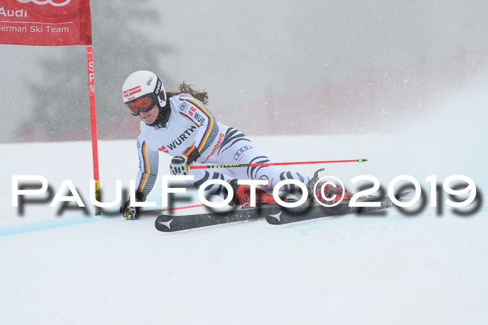 FIS + NJC Riesenslalom Damen + Herren 02.02.2019