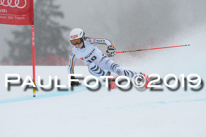 FIS + NJC Riesenslalom Damen + Herren 02.02.2019