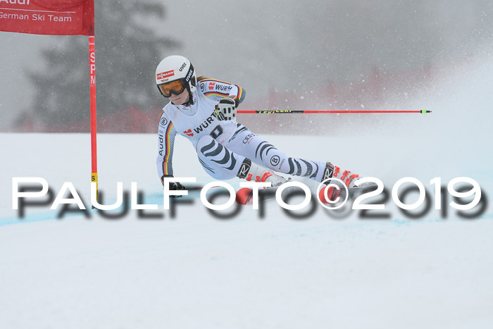 FIS + NJC Riesenslalom Damen + Herren 02.02.2019