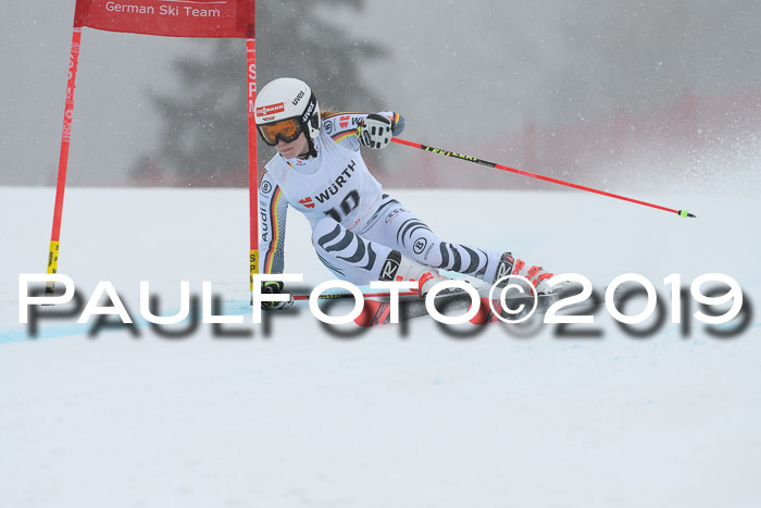 FIS + NJC Riesenslalom Damen + Herren 02.02.2019