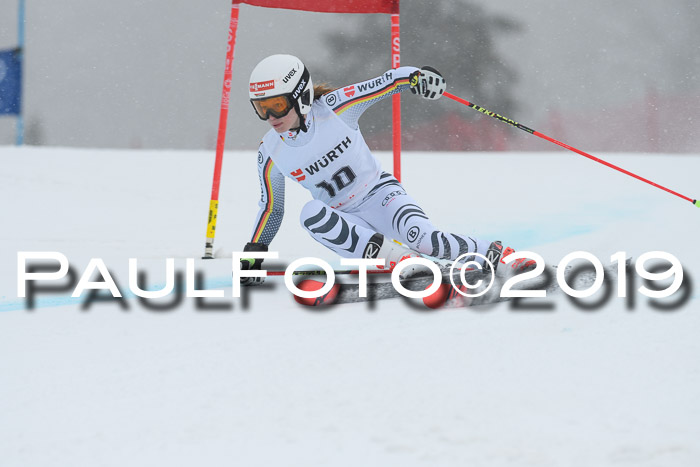 FIS + NJC Riesenslalom Damen + Herren 02.02.2019