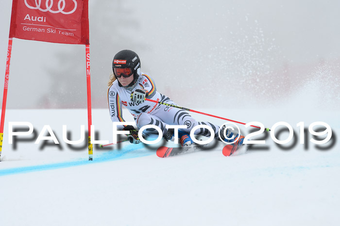 FIS + NJC Riesenslalom Damen + Herren 02.02.2019