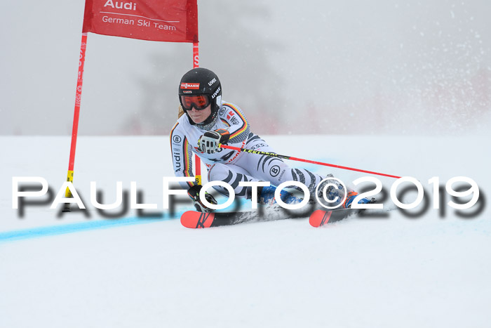 FIS + NJC Riesenslalom Damen + Herren 02.02.2019