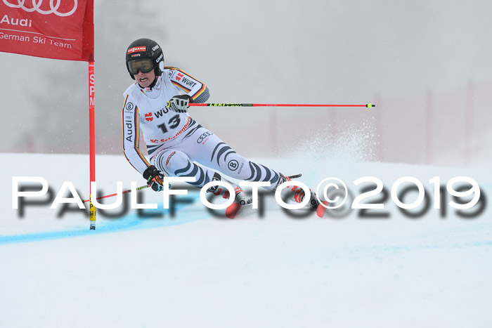 FIS + NJC Riesenslalom Damen + Herren 02.02.2019