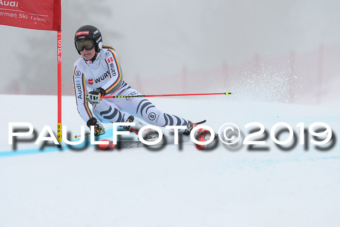 FIS + NJC Riesenslalom Damen + Herren 02.02.2019
