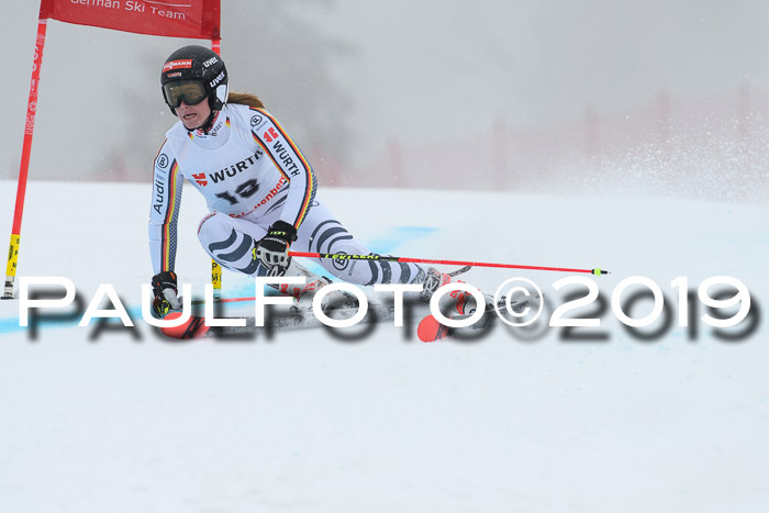 FIS + NJC Riesenslalom Damen + Herren 02.02.2019
