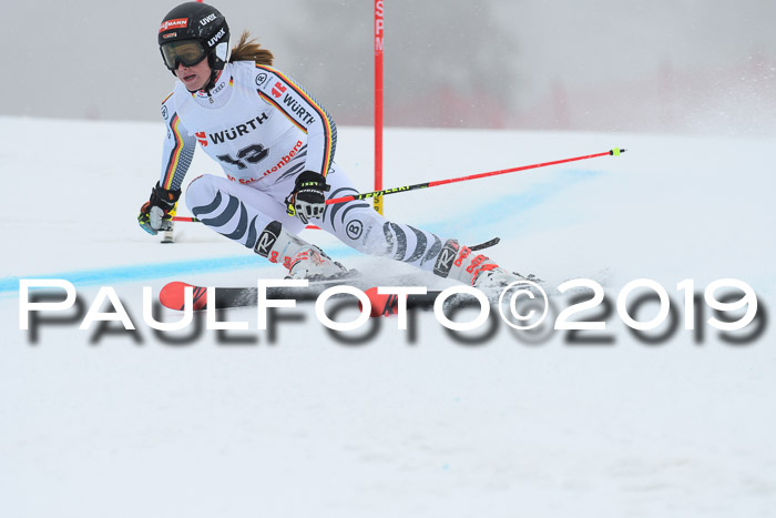 FIS + NJC Riesenslalom Damen + Herren 02.02.2019