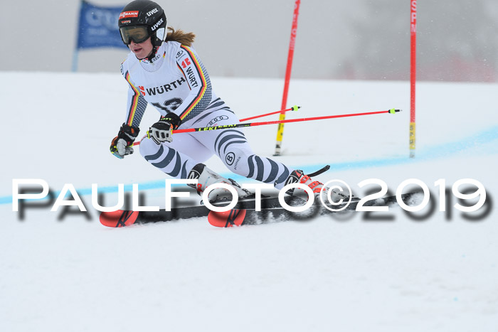 FIS + NJC Riesenslalom Damen + Herren 02.02.2019