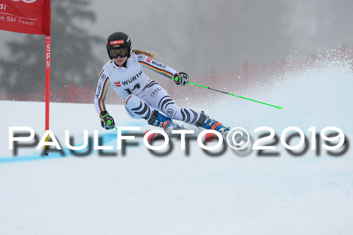 FIS + NJC Riesenslalom Damen + Herren 02.02.2019